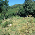 Evolution des paysages dans le Vicdessos||<img src=_data/i/upload/2012/09/13/20120913150246-fba07f9d-th.jpg>