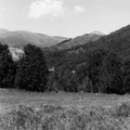 Evolution des paysages dans le Vicdessos||<img src=_data/i/upload/2012/09/13/20120913150416-f22fb979-th.jpg>