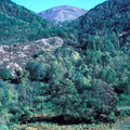Evolution des paysages dans le Vicdessos||<img src=_data/i/upload/2012/09/13/20120913151117-1daa541f-th.jpg>