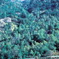 Evolution des paysages dans le Vicdessos||<img src=_data/i/upload/2012/09/13/20120913151119-fb24ed94-th.jpg>