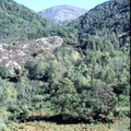 Evolution des paysages dans le Vicdessos||<img src=_data/i/upload/2012/09/13/20120913151229-633bf7f0-th.jpg>