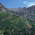 Evolution des paysages dans le Vicdessos||<img src=_data/i/upload/2012/09/13/20120913151406-010018ea-th.jpg>