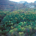 Evolution des paysages dans le Vicdessos||<img src=_data/i/upload/2012/09/13/20120913151413-4e77f19d-th.jpg>