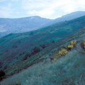 Evolution des paysages dans le Vicdessos||<img src=_data/i/upload/2012/09/13/20120913151424-1fc68e44-th.jpg>