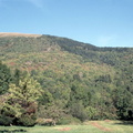 Evolution des paysages dans le Vicdessos||<img src=_data/i/upload/2012/09/13/20120913151537-f064f8de-th.jpg>