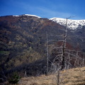 Evolution des paysages dans le Vicdessos||<img src=_data/i/upload/2012/09/13/20120913151608-58f25d84-th.jpg>