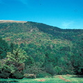 Evolution des paysages dans le Vicdessos||<img src=_data/i/upload/2012/09/13/20120913151709-e939f5f7-th.jpg>