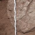 Campagne de fouilles archéologiques||<img src=_data/i/upload/2012/12/04/20121204102636-5b5a6ad9-th.jpg>