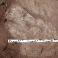 Campagne de fouilles archéologiques||<img src=_data/i/upload/2012/12/04/20121204102637-21af3aba-th.jpg>