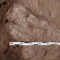Campagne de fouilles archéologiques||<img src=_data/i/upload/2012/12/04/20121204102638-26344b53-th.jpg>