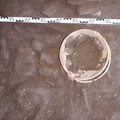 Campagne de fouilles archéologiques||<img src=_data/i/upload/2012/12/04/20121204102713-04a39daf-th.jpg>