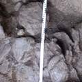 Campagne de fouilles archéologiques||<img src=_data/i/upload/2012/12/04/20121204102733-51f19d7f-th.jpg>