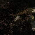 Campagne terrain Vicdessos||<img src=_data/i/upload/2012/12/04/20121204115659-f0e37621-th.jpg>