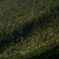 Campagne terrain Vicdessos||<img src=_data/i/upload/2012/12/04/20121204115809-437a6ab9-th.jpg>