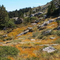 Campagne de terrain OHM||<img src=_data/i/upload/2012/12/06/20121206143719-701e2235-th.jpg>