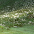 Campagne de terrain OHM||<img src=_data/i/upload/2012/12/06/20121206143756-fc4d5e6c-th.jpg>